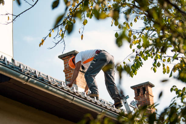 Roof Gutter Cleaning in Tacoma, WA